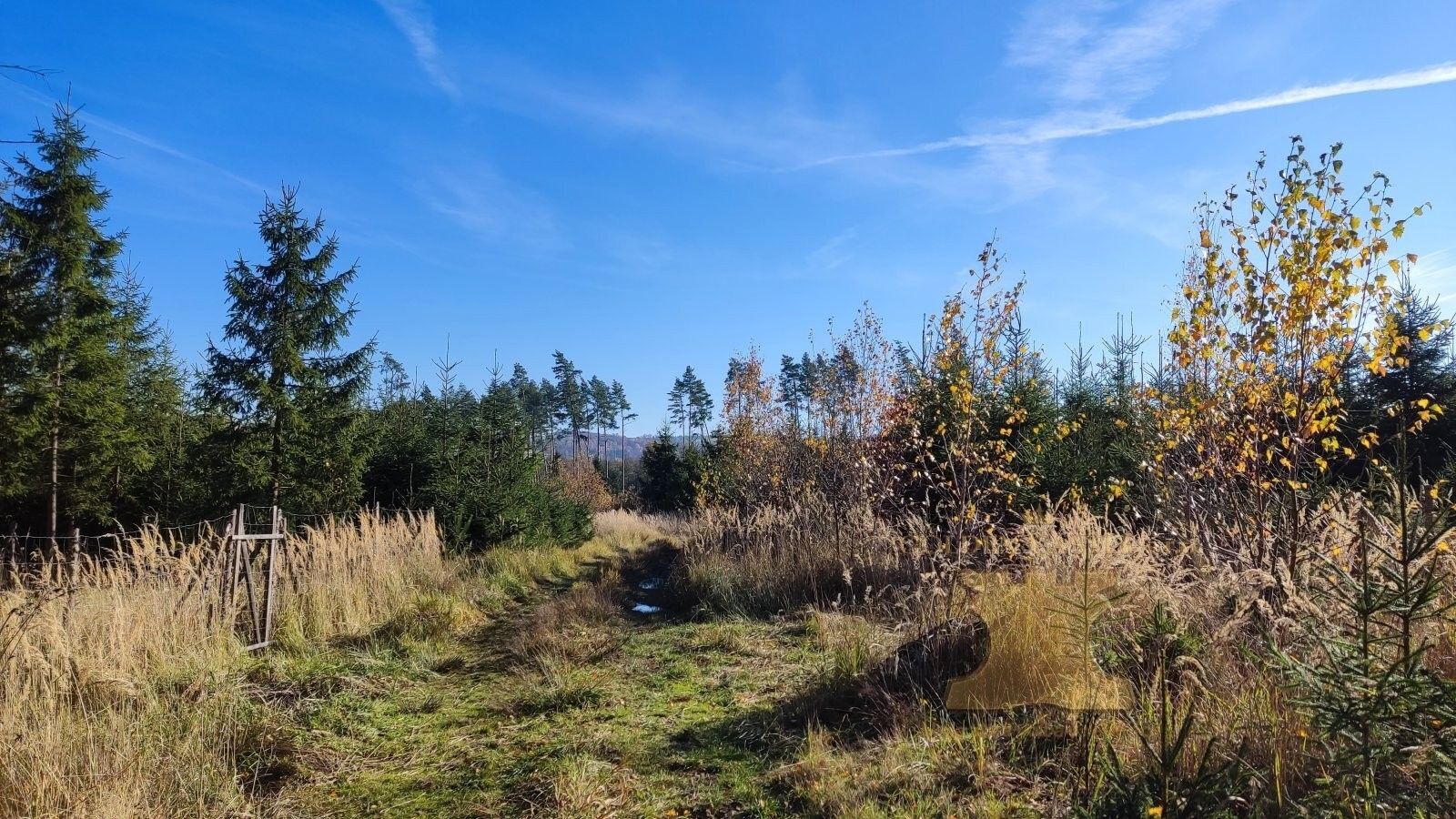 Prodej les - Stará Vožice, Mladá Vožice, 5 m²