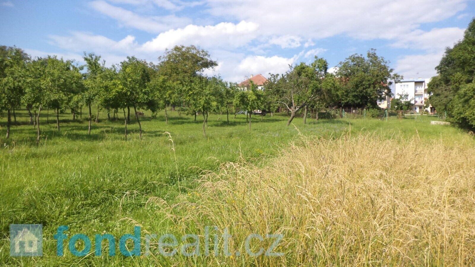 Pozemek · 1 688 m² · Petrůvka - 4