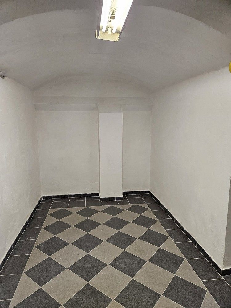 Sklad · 108 m² · Praha - Vinohrady, okres Praha 2, Hlavní město Praha - 4