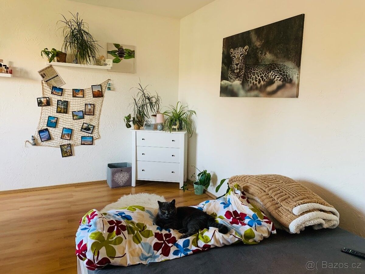 Pronájem byt - Nýřany, 330 23
