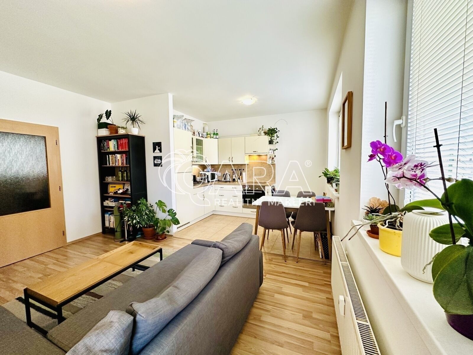 2+kk, U Ježíška, Plzeň, 59 m²