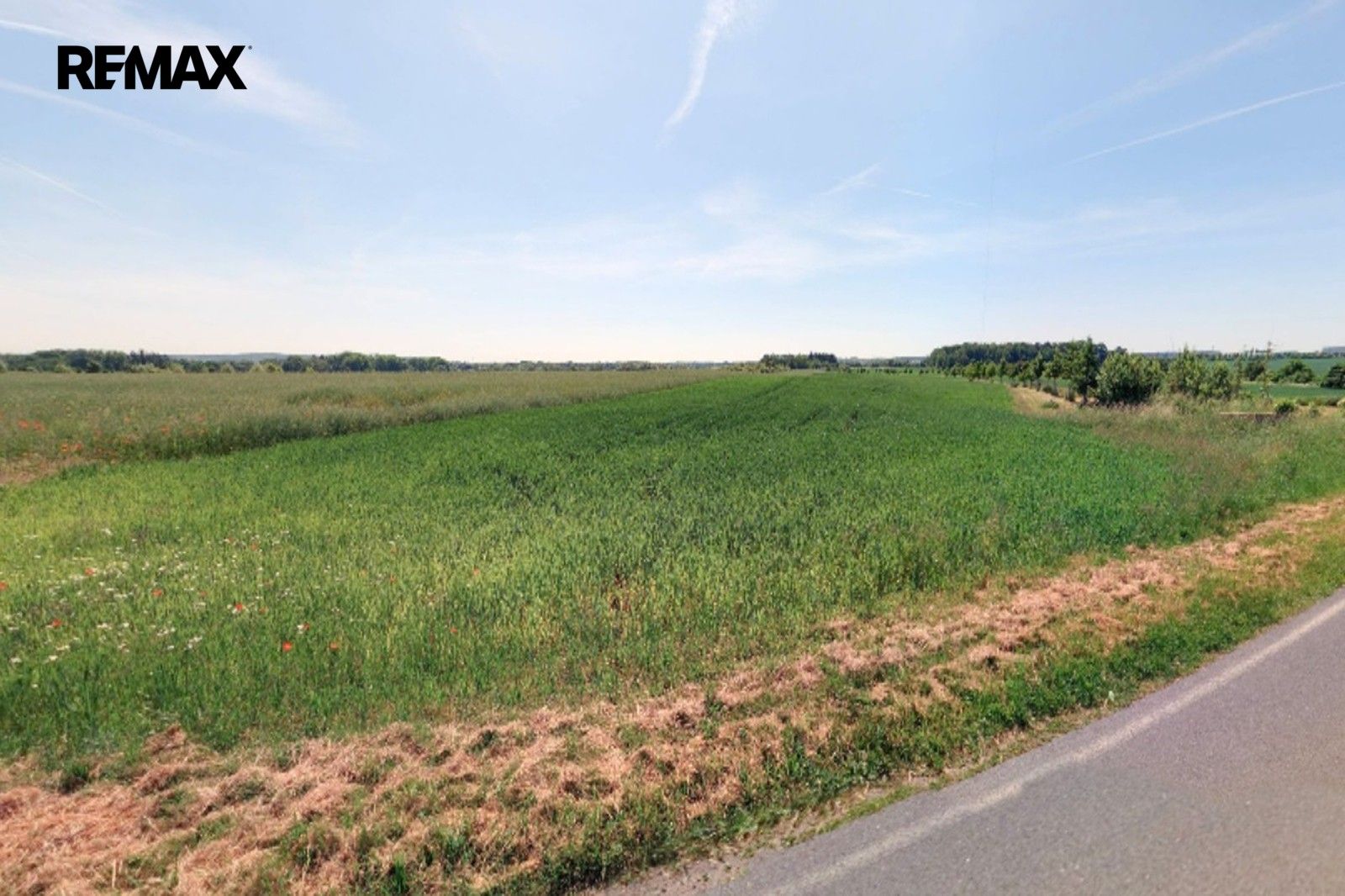 Pozemek pro bydlení · 3 953 m² · Čestlice - 3