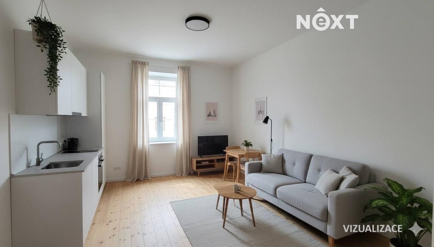 Prodej byt 1+kk - České Budějovice 3, České Budějovice, 56 m²