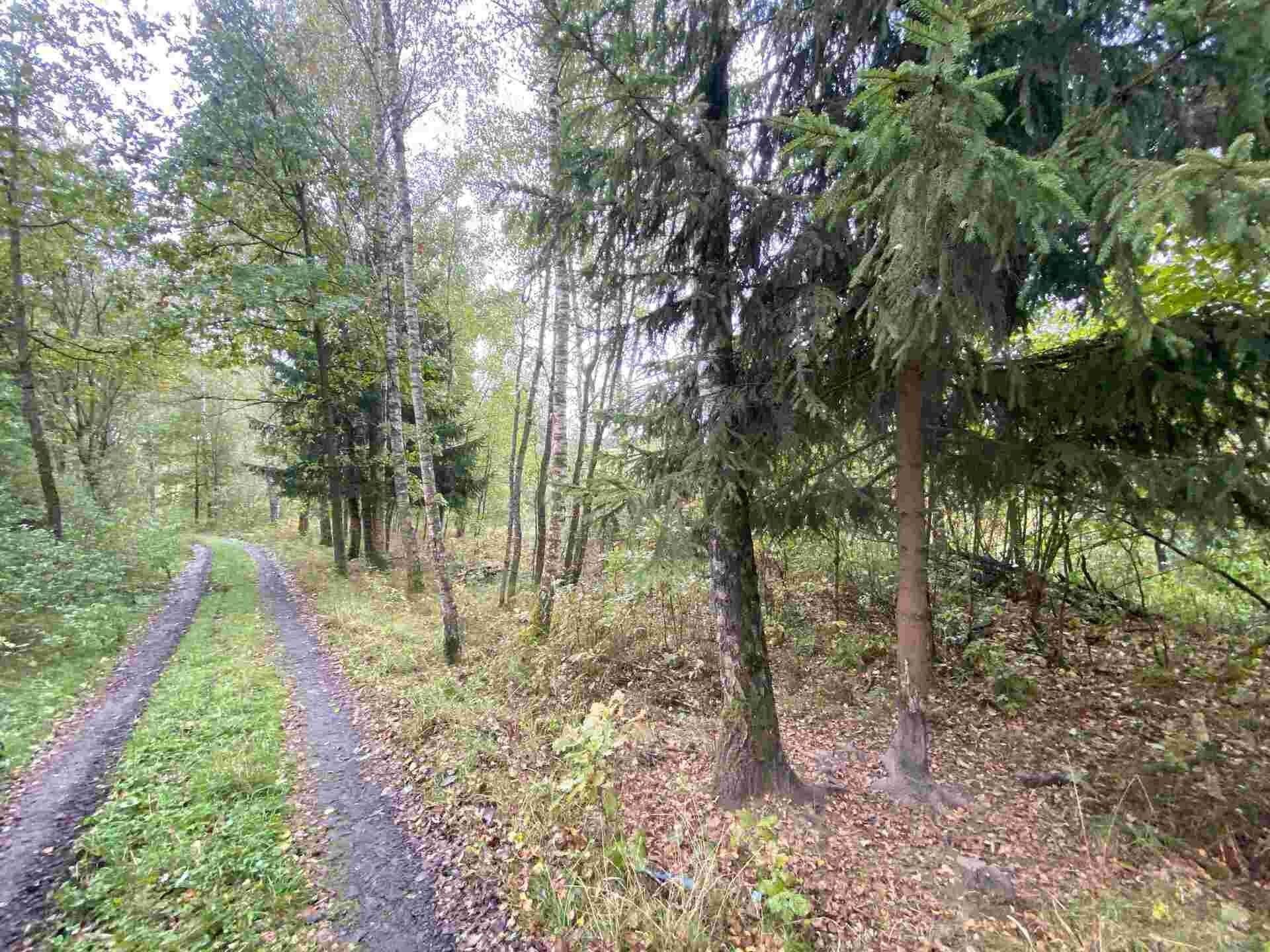 Prodej pozemek - Horní Dvořiště, 10 042 m² - 5