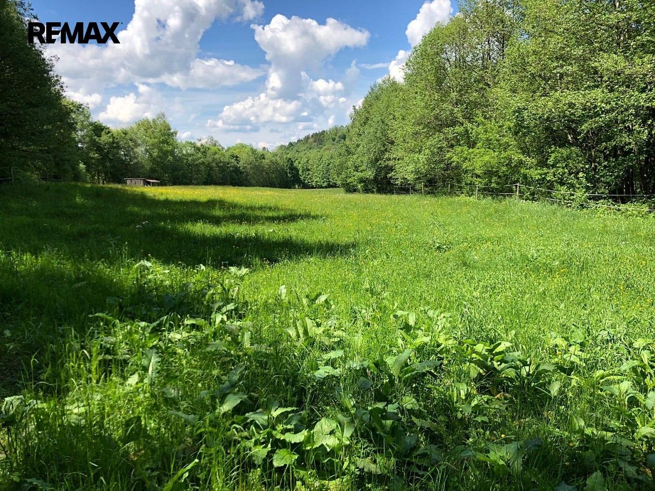 Prodej louka - Strašín, okres Klatovy, Plzeňský kraj - 5