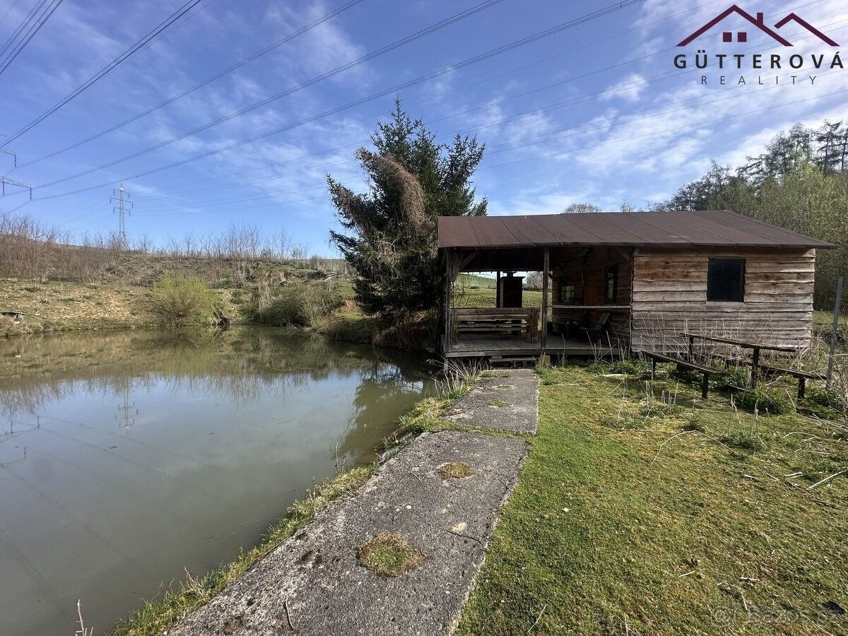 Prodej ostatní - Hradec u Stoda, 332 11