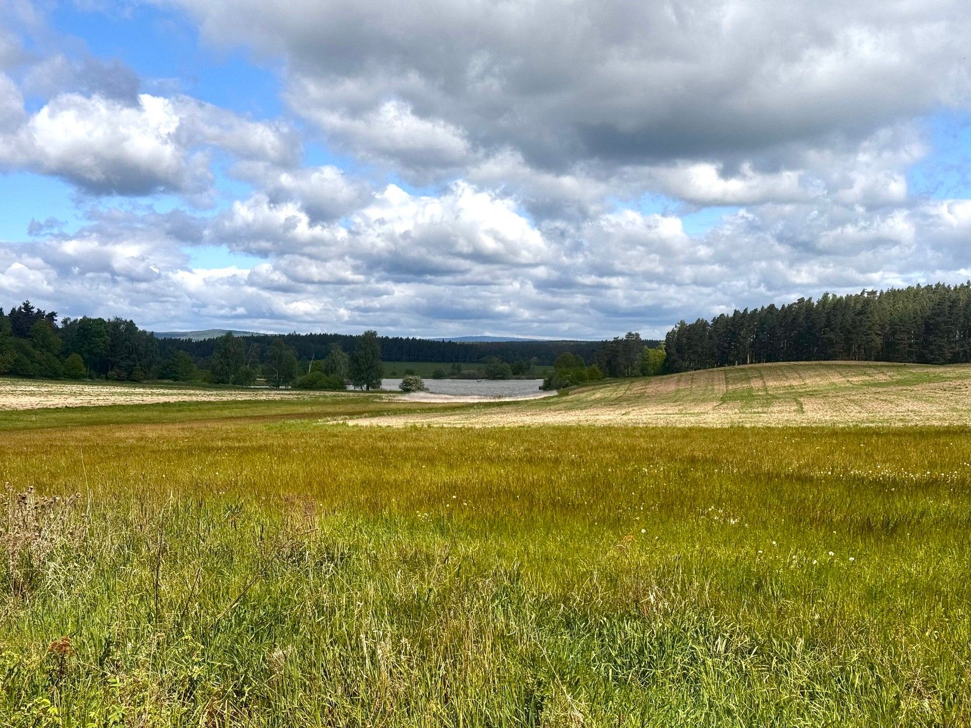 Zemědělské pozemky, Kumpolec, Tisová