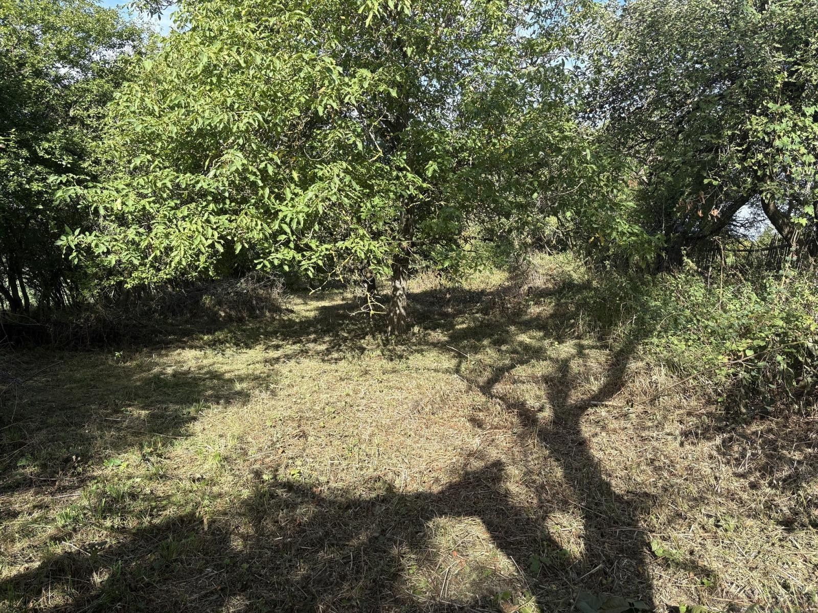 Zahrada · 2 317 m² · Říčany, Praha-východ - 4