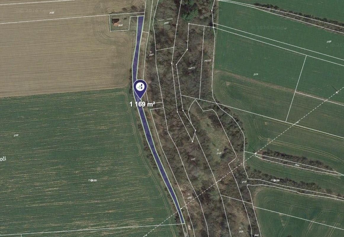 Pozemek, 1 169 m²