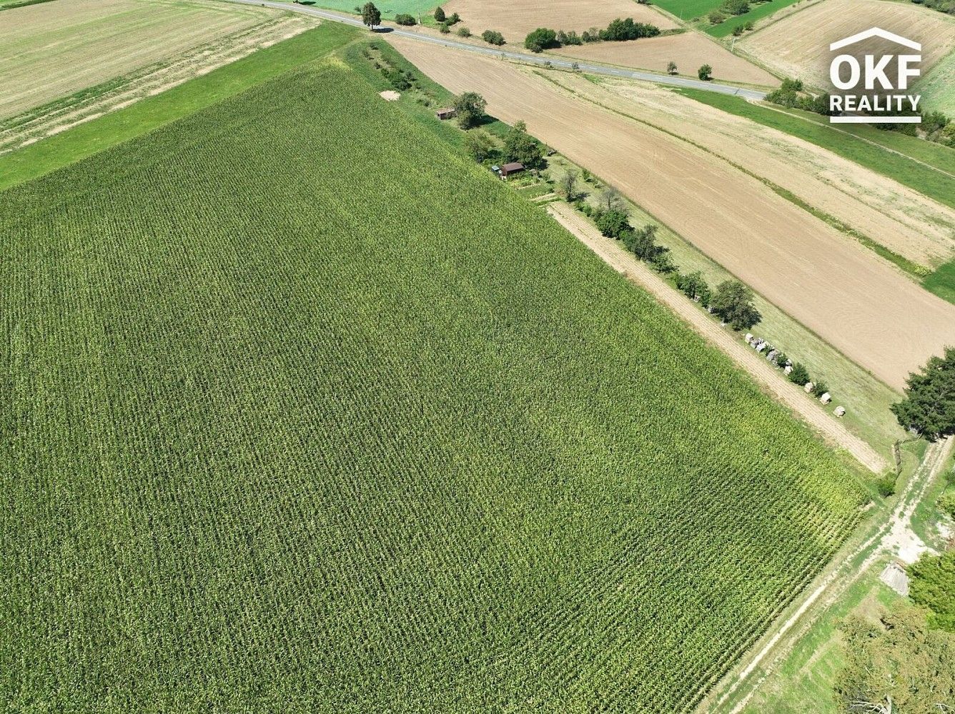 Zahrada · Lutopecny, okres Kroměříž, Zlínský kraj - 4