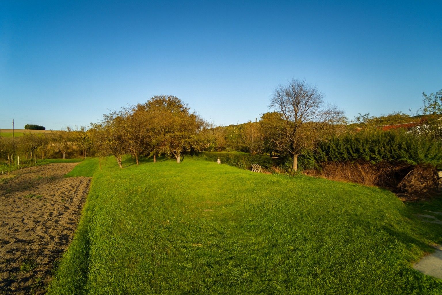 Prodej pozemek pro bydlení - Pitín, 768 m² - 5