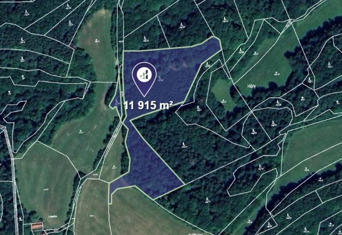 Prodej les - Prlov, 83 309 m²