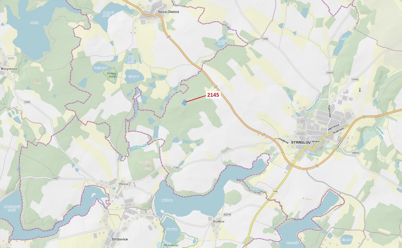 Prodej les - Nová Olešná, okres Jindřichův Hradec, Jihočeský kraj - 1