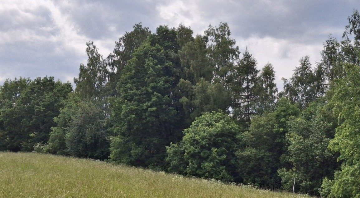 Ostatní, Tůně, Pomezí nad Ohří