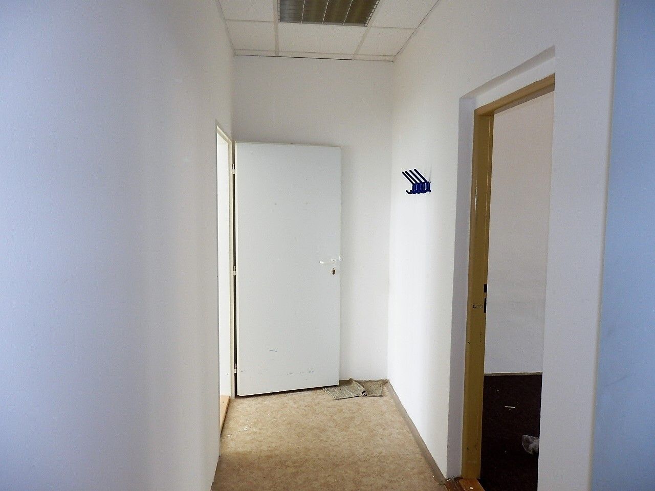 Kancelář · 42 m² · České Budějovice 3 - 3