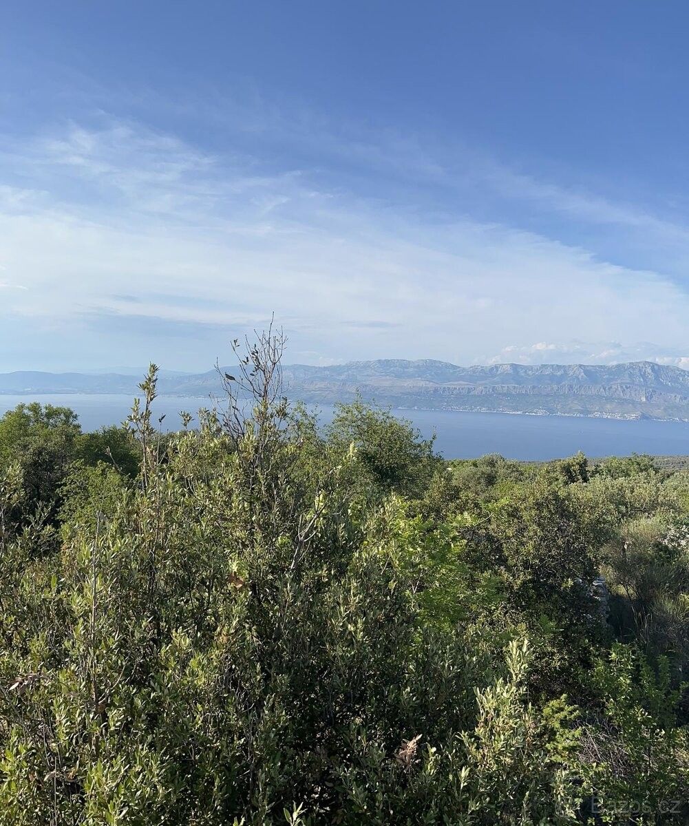 Prodej pozemek pro bydlení - Čelákovice, 250 88