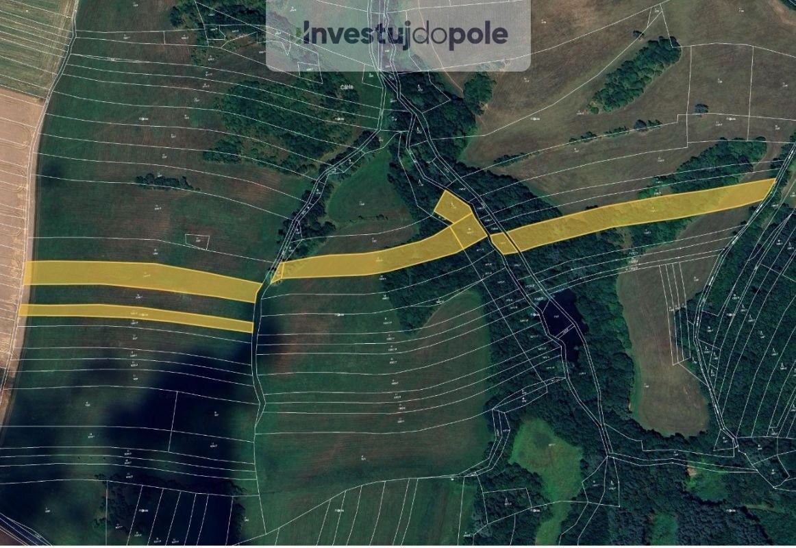 Prodej louka - Bílovice u Uherského Hradiště, 687 12, 4 782 m²