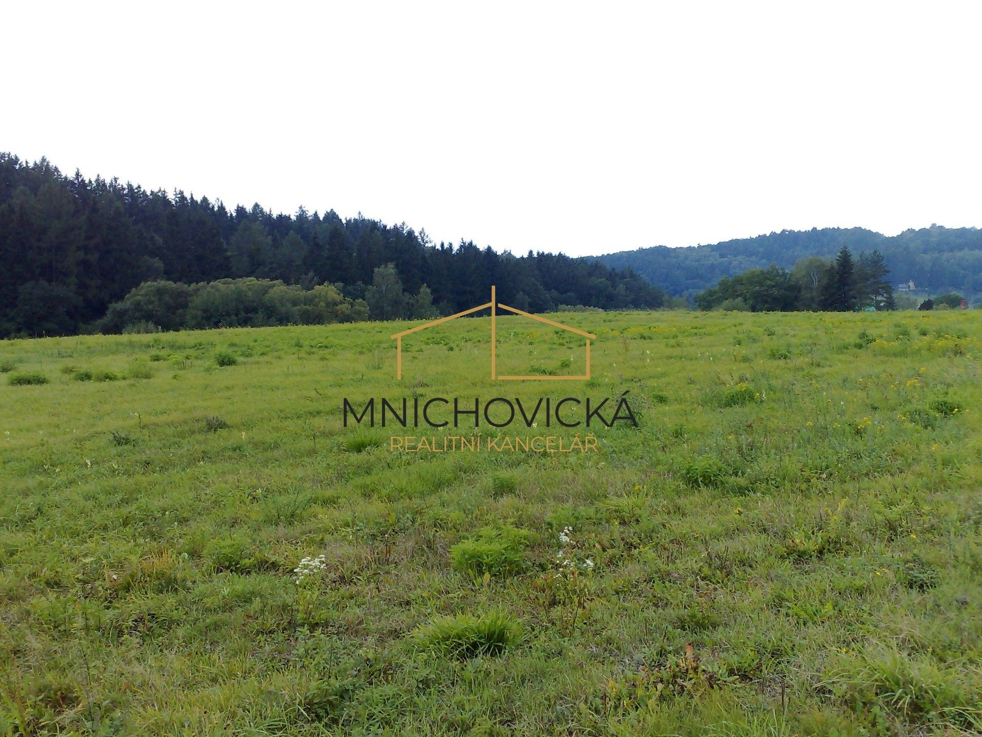 Louky, Hrusická, Mnichovice - 1