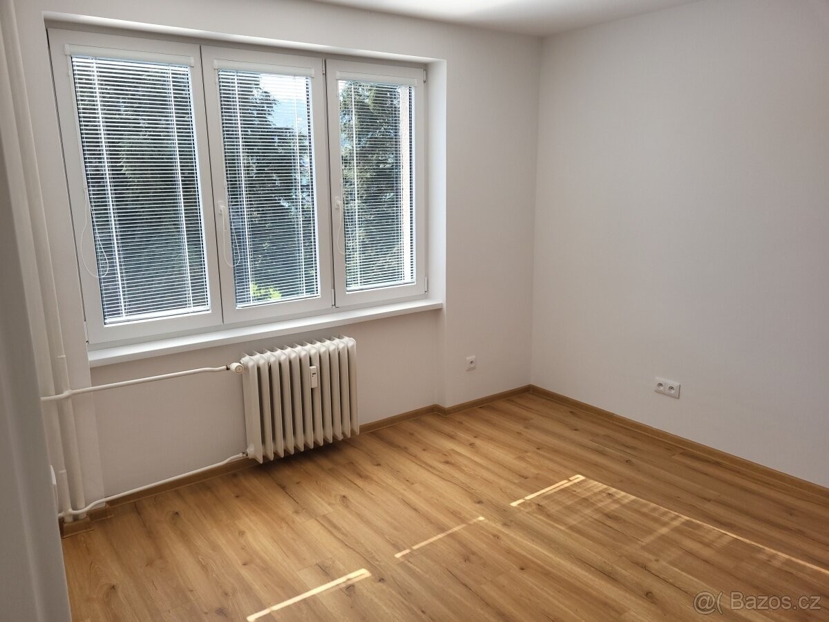 Byt · Doudleby nad Orlicí, 517 42 - 4