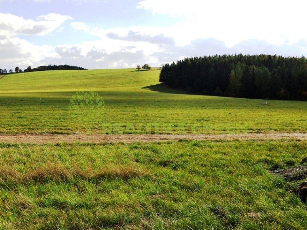 Louky, Horní Dlužiny, Světlá nad Sázavou, 41 681 m²