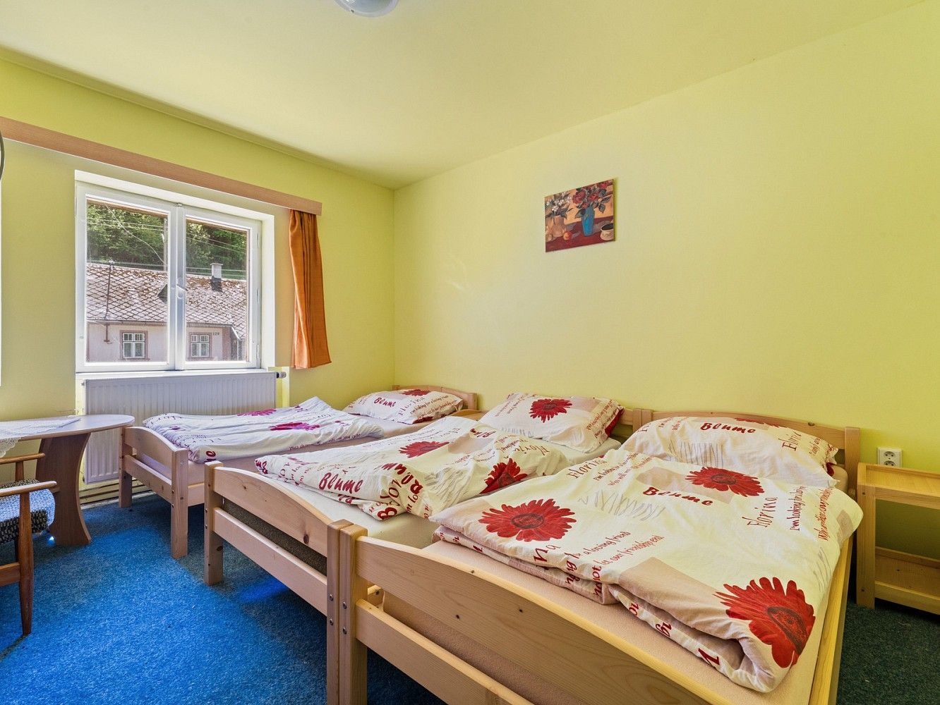 Prodej ubytovací zařízení - Červená Voda - Moravský Karlov, okres Ústí nad Orlicí, Pardubický kraj, 400 m² - 5