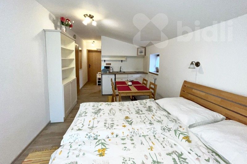 Pronájem byt 1+kk - Rejta 1257, Trhové Sviny, 25 m² - 5