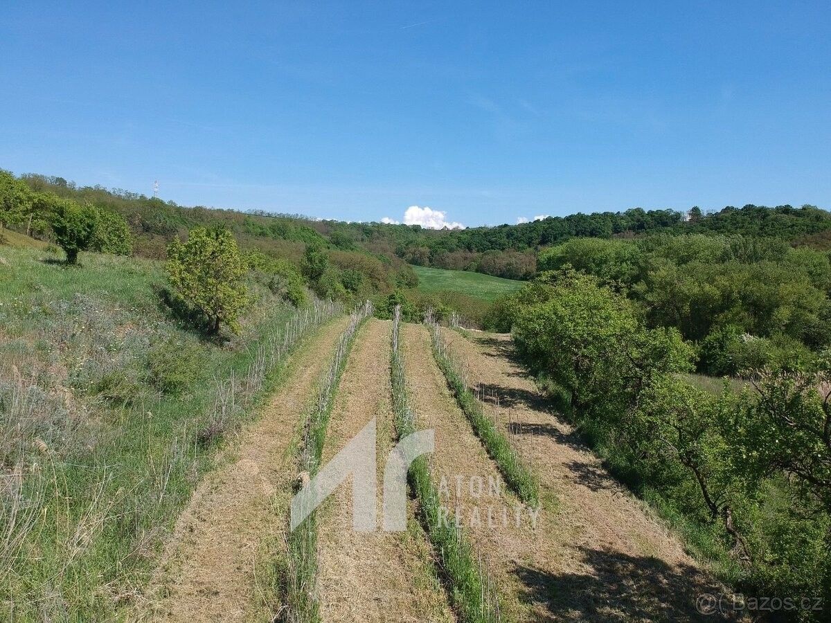 Pozemky pro bydlení, Křepice u Hustopečí, 691 65