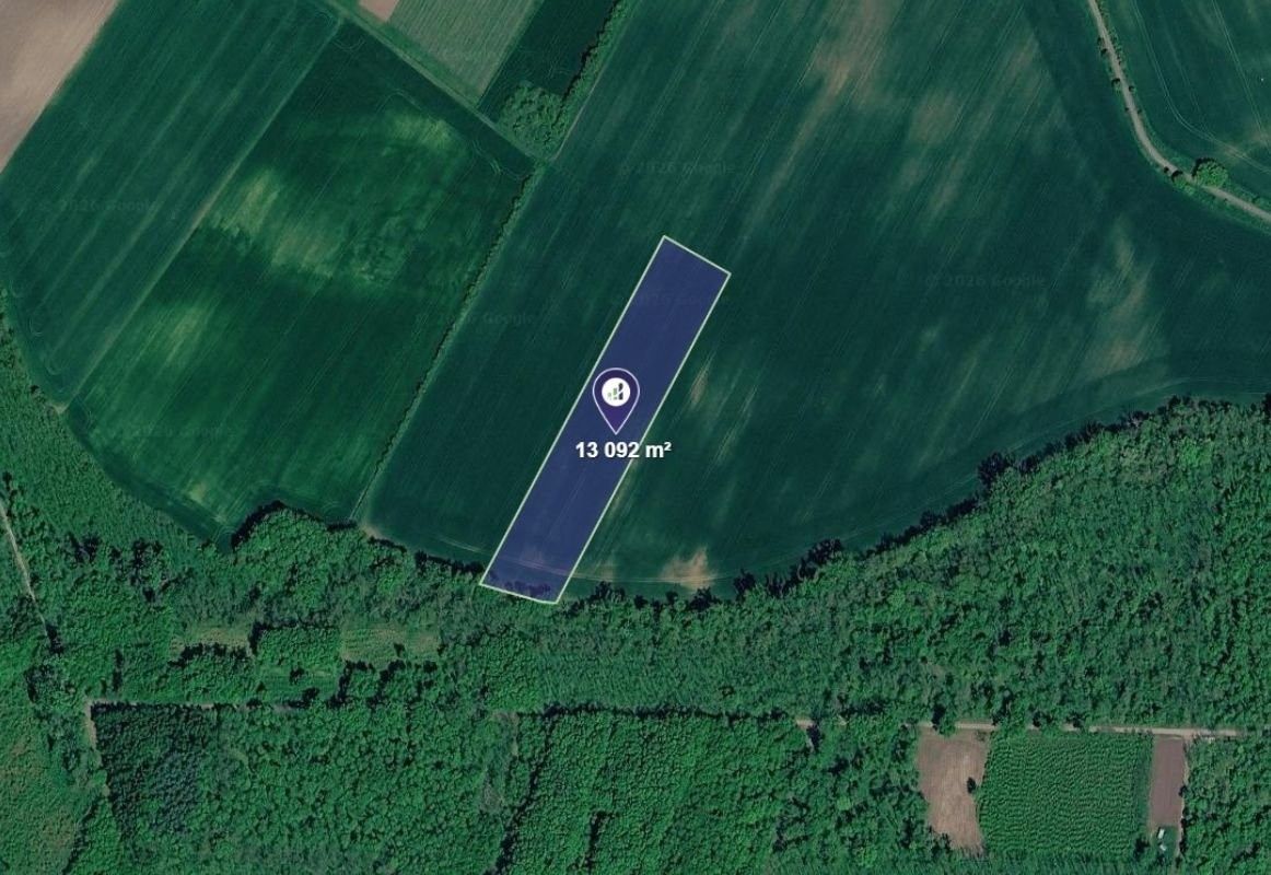 Zemědělský pozemek · 3 547 m² · Borotice - 4