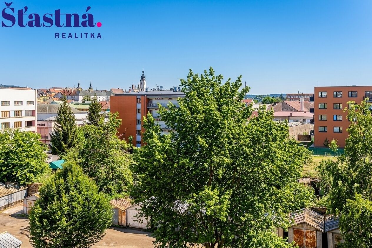 Byt 3+1 · 55 m² · Dvořákova 334, Písek Pražské Předměstí - 3