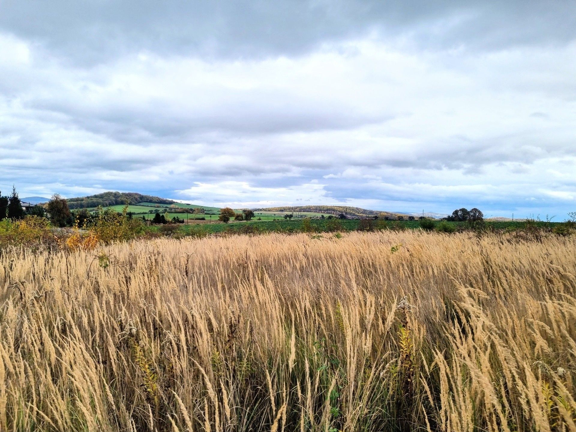 Pozemky pro bydlení, Kvítkov, Modlany