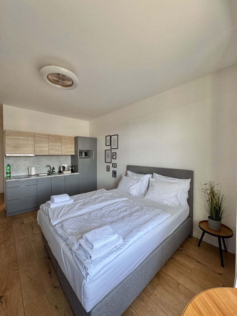 Byt 1+kk · 25 m² · Strakonická, Praha - Smíchov - 3