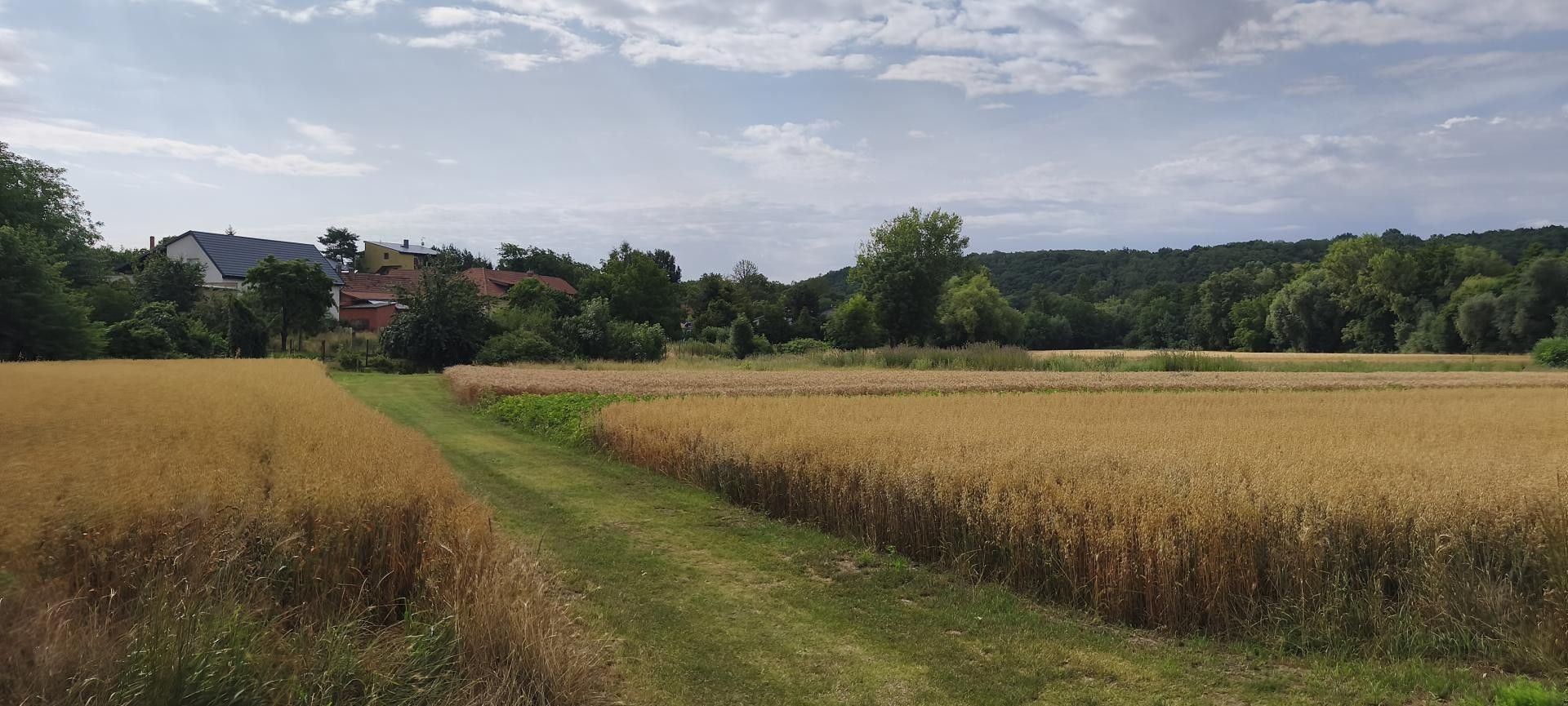 Zahrada · Nová Ves - 3