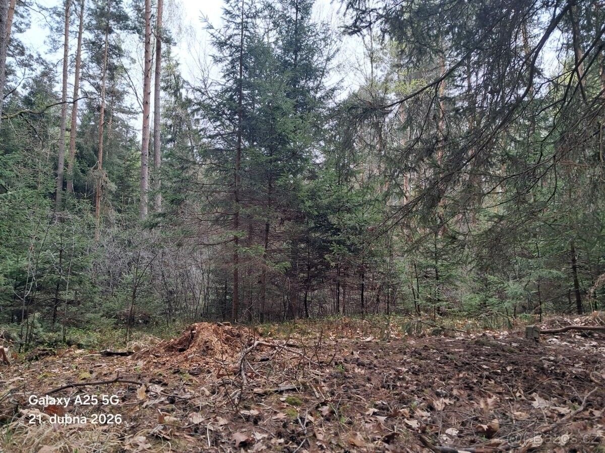 Pozemek pro bydlení · Trhové Sviny, 374 01 - 4