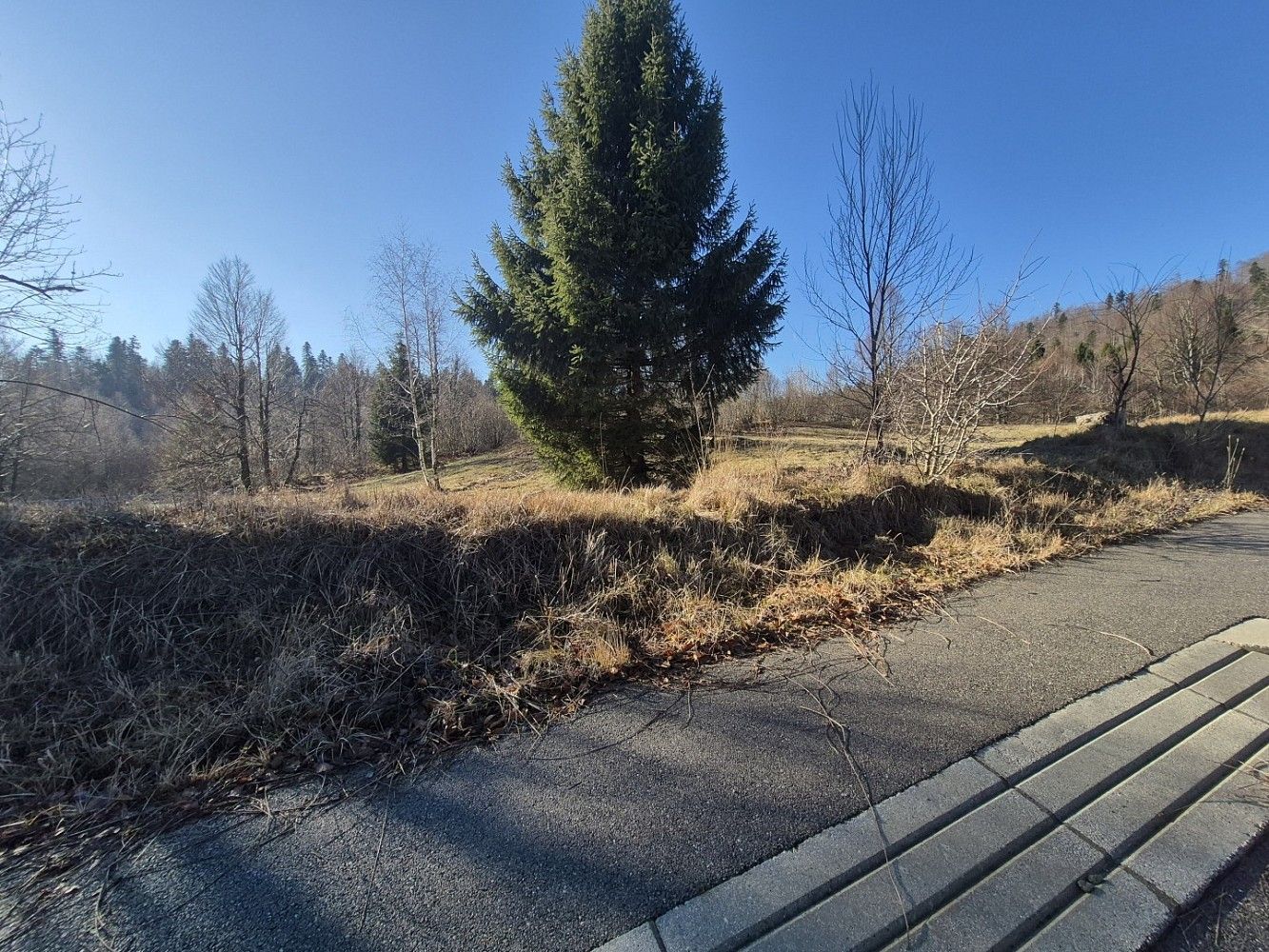 Pozemek pro bydlení, 1 331 m²