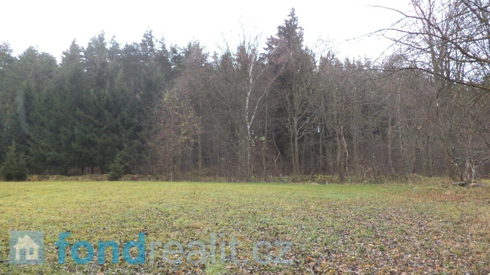 Zemědělský pozemek · 10 224 m² · Zdíkov Branišov - 4