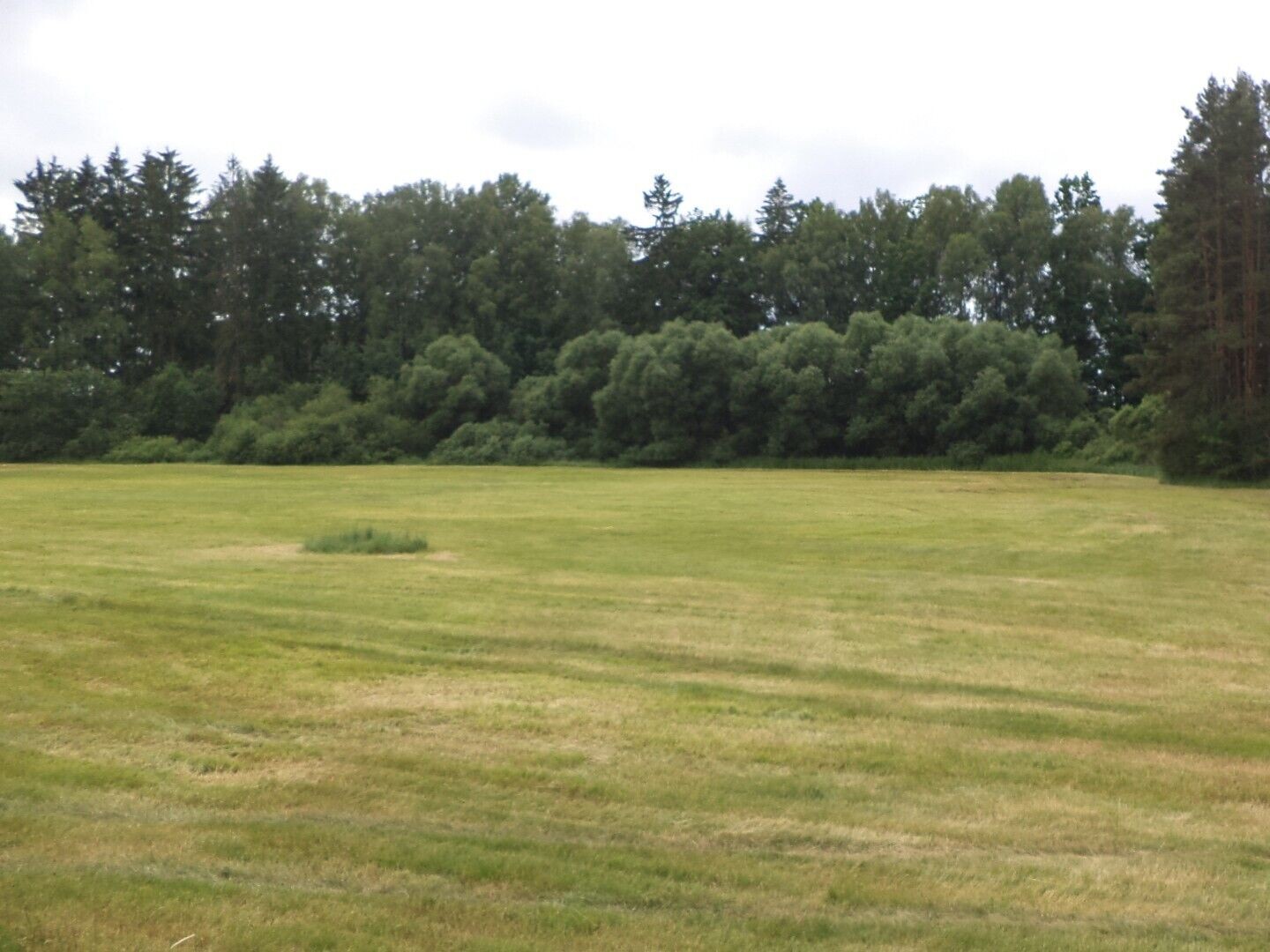 Pozemek · 2 389 m² · Chlum u Třeboně Mirochov - 3