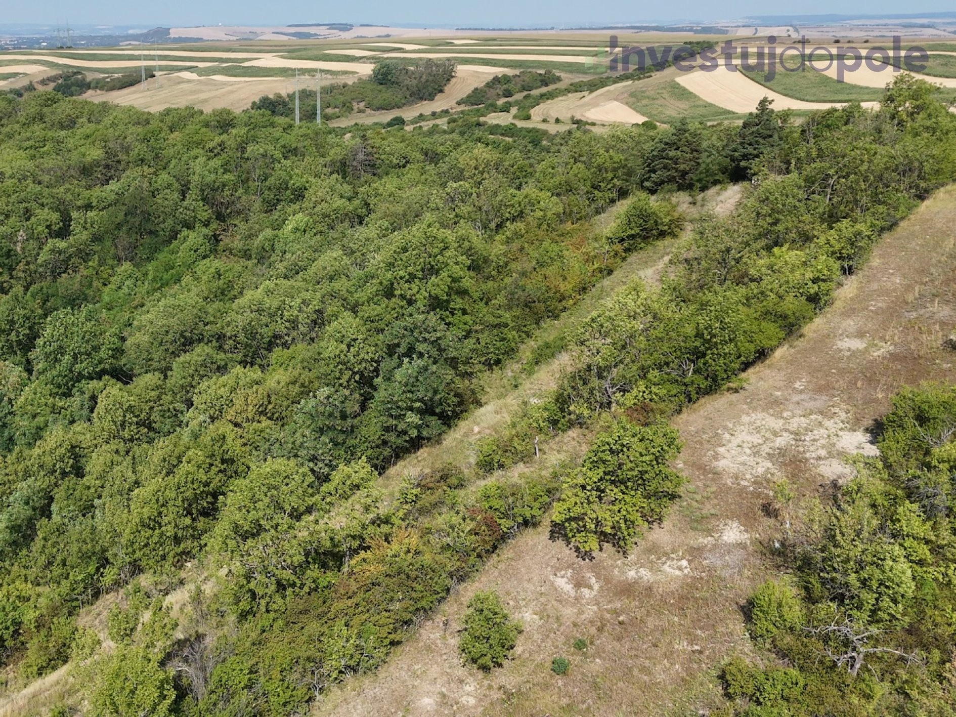Zahrada · 2 052 m² · Kobeřice u Brna - 4