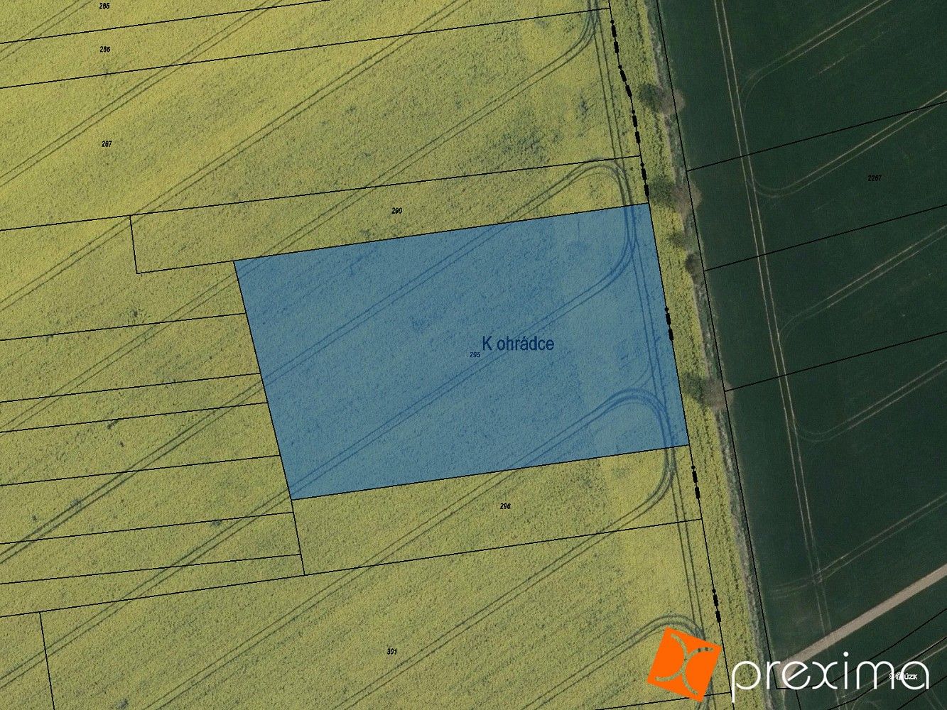 Prodej zemědělský pozemek - Běrunice, okres Nymburk, Středočeský kraj - 5