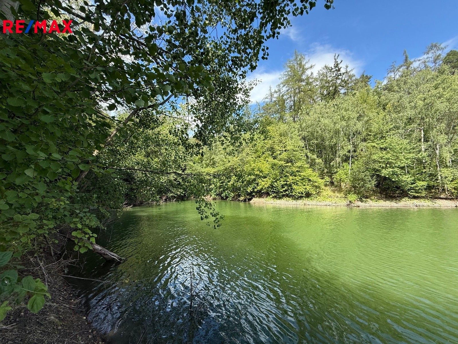 Prodej les - Letovice, 12 m²