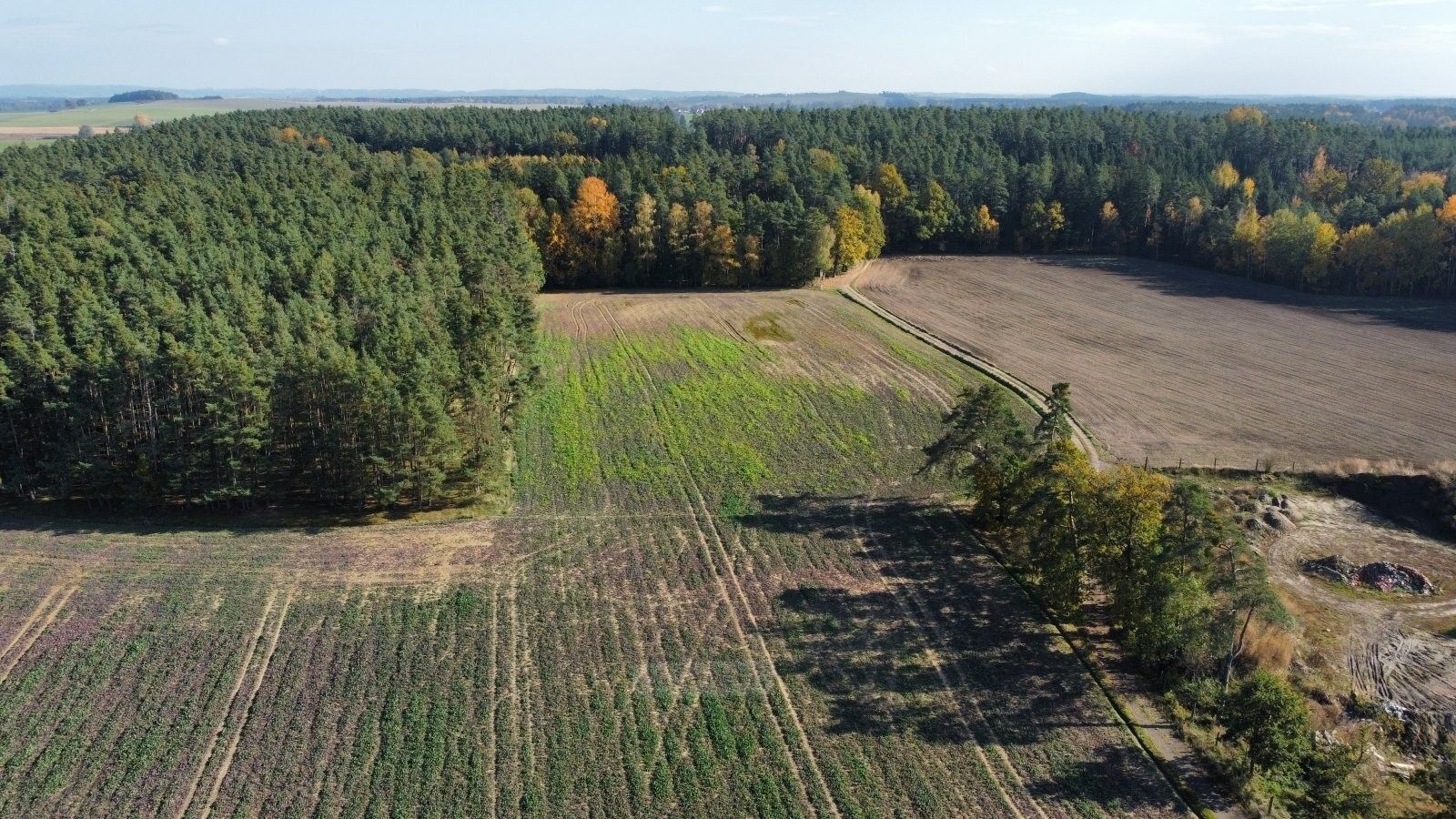 Zemědělské pozemky, Řípec, 49 992 m² - 2