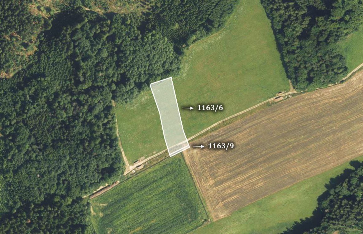 Prodej zemědělský pozemek - Rozstání, 48 460 m²