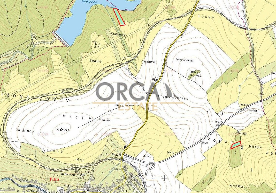 Les · Pitín, okres Uherské Hradiště, Zlínský kraj - 4