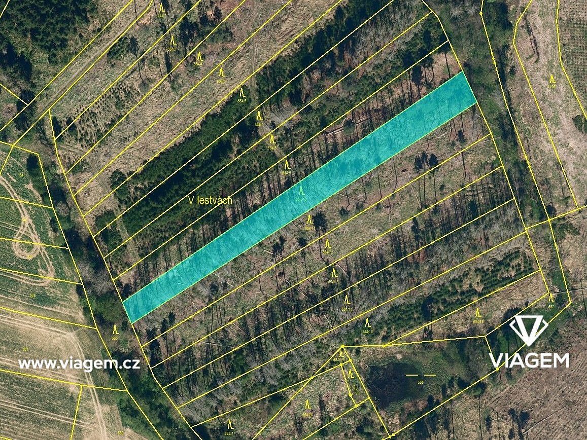 Les · Děkanovice, okres Benešov, Středočeský kraj - 3