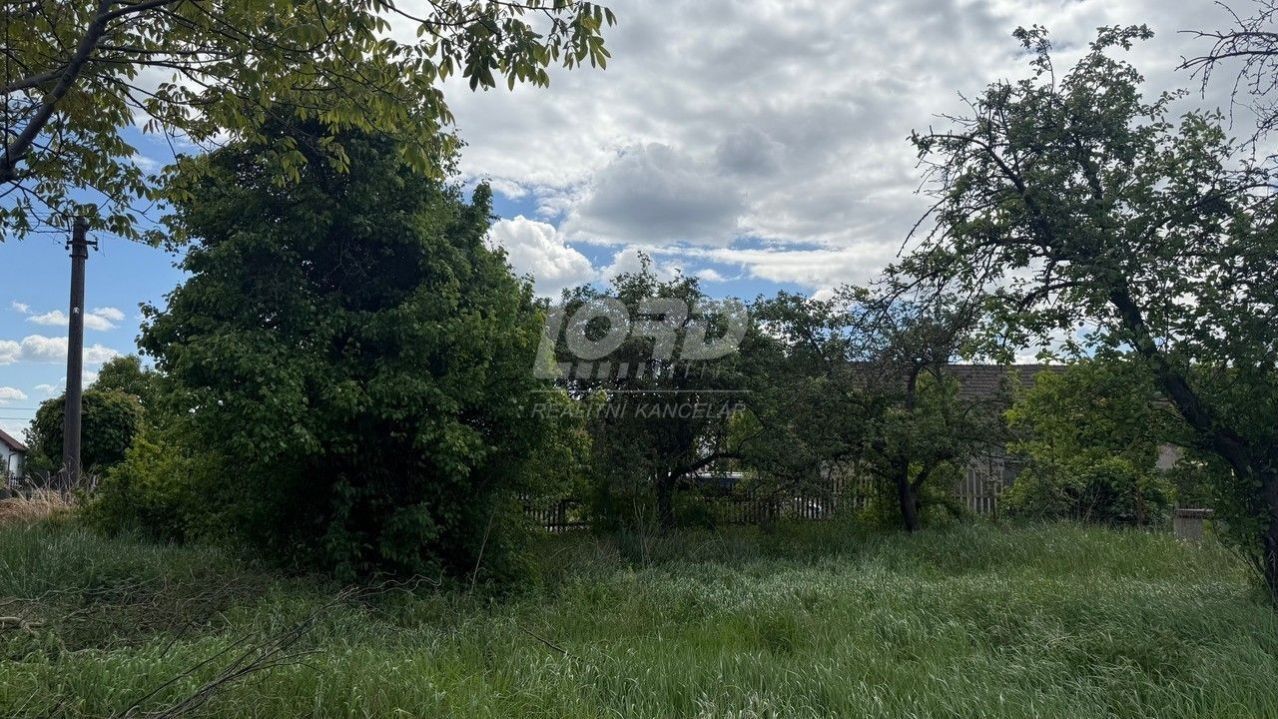 Prodej pozemek pro bydlení - Lužec nad Cidlinou, 3 495 m²