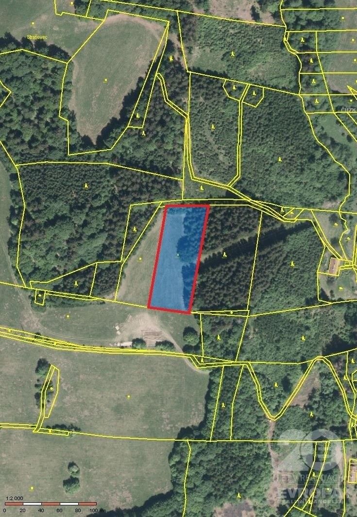 Prodej les - Kounov, 10 000 m²