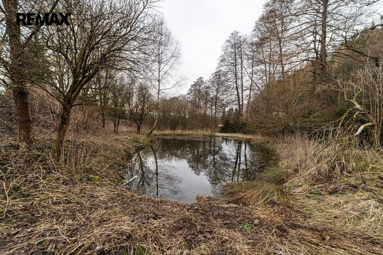 Rodinný dům · 440 m² · Červená Voda - 4