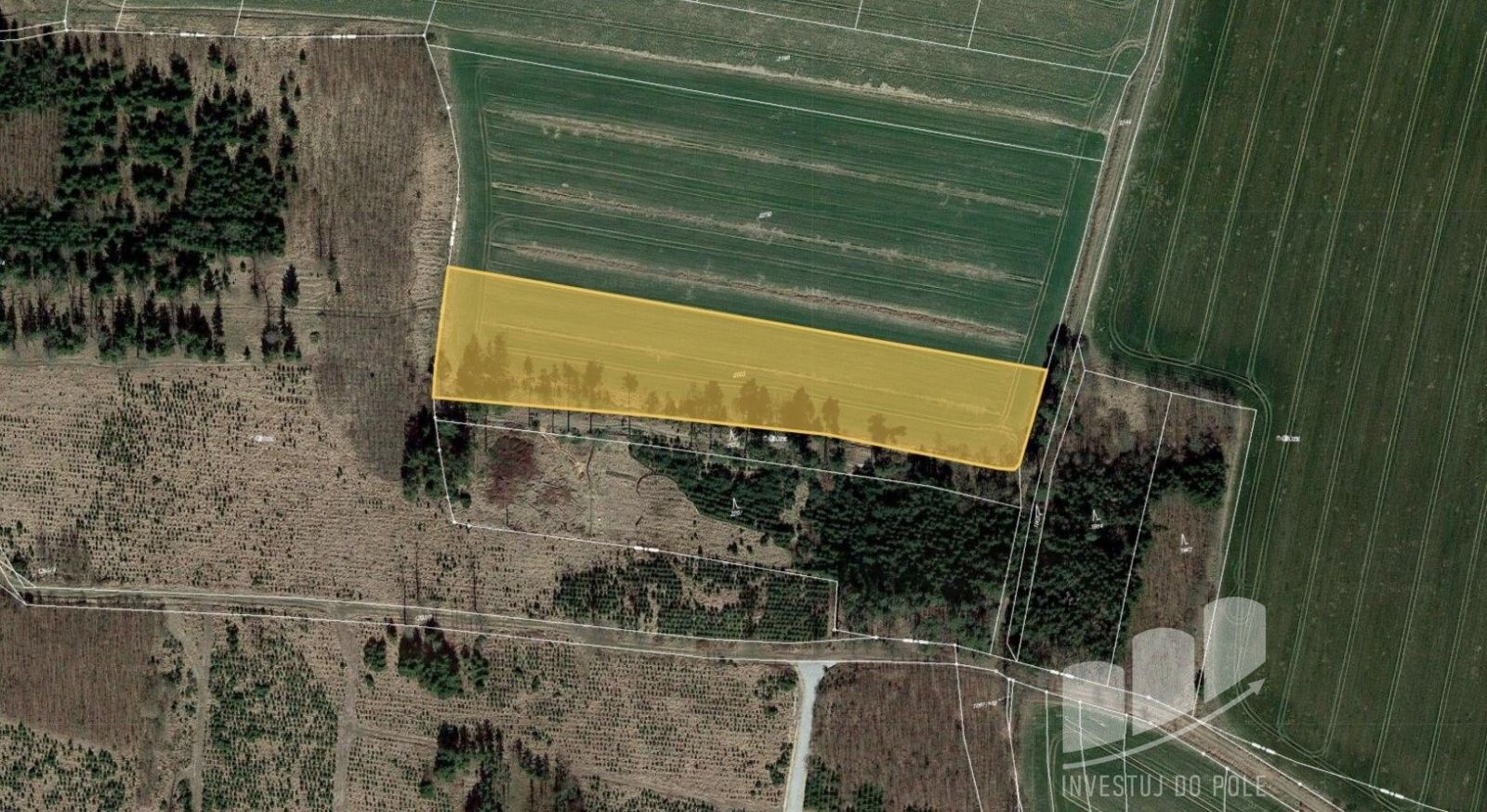 Prodej zemědělský pozemek - Sviny, 10 050 m²