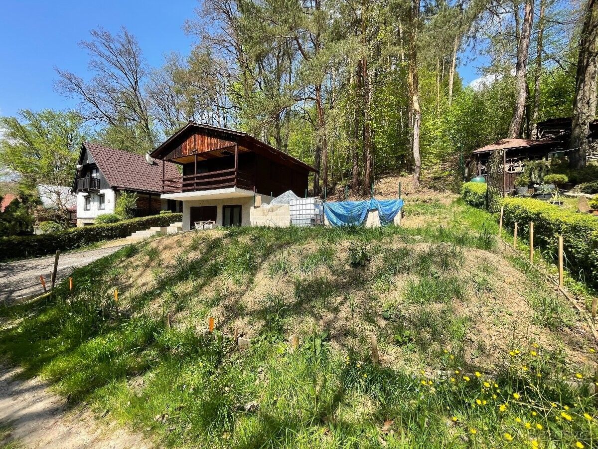 Prodej chata - Mnichovo Hradiště, 295 01, 369 m²