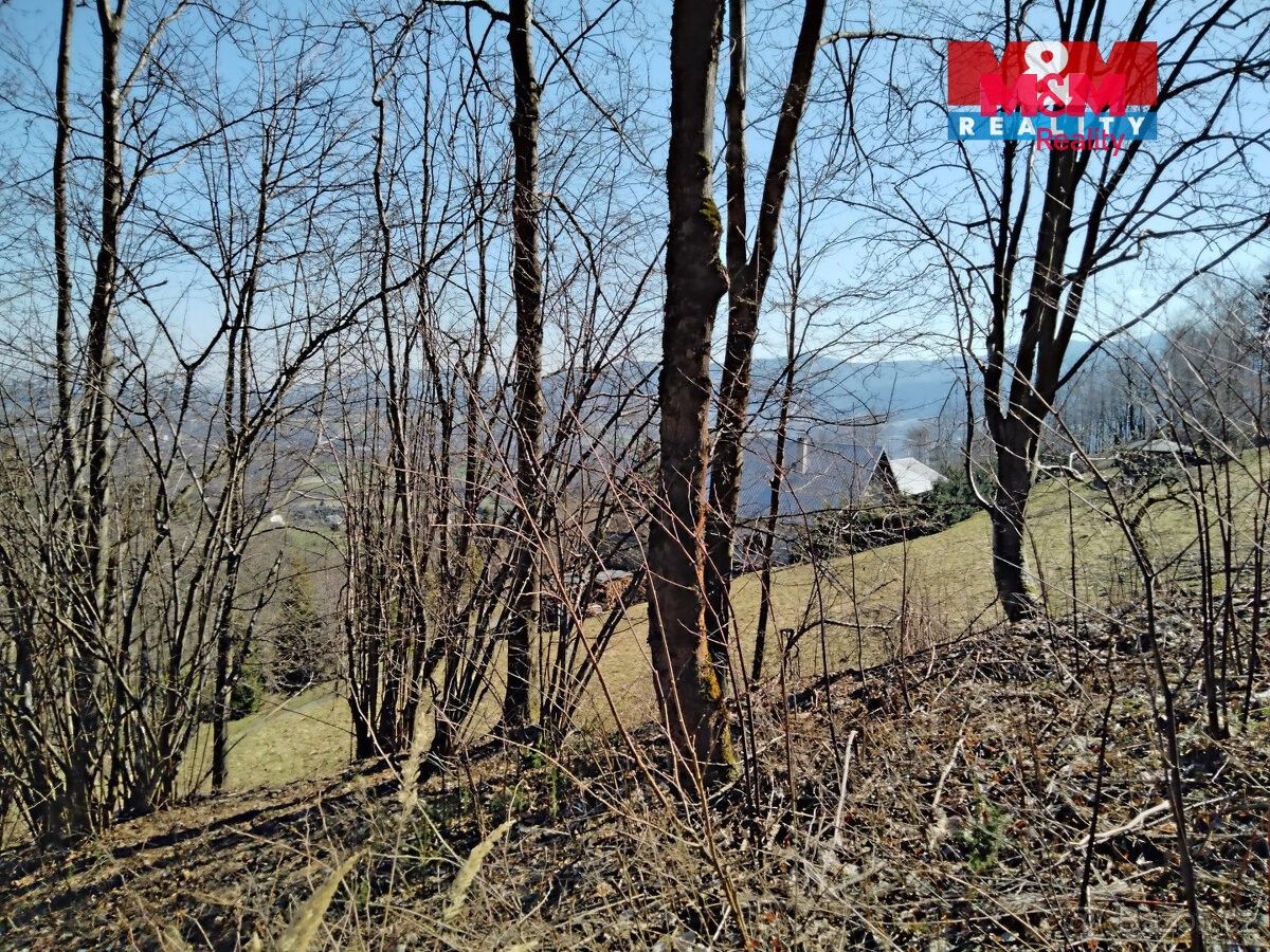 Pozemky pro bydlení, Frýdlant nad Ostravicí, 739 11 - 2