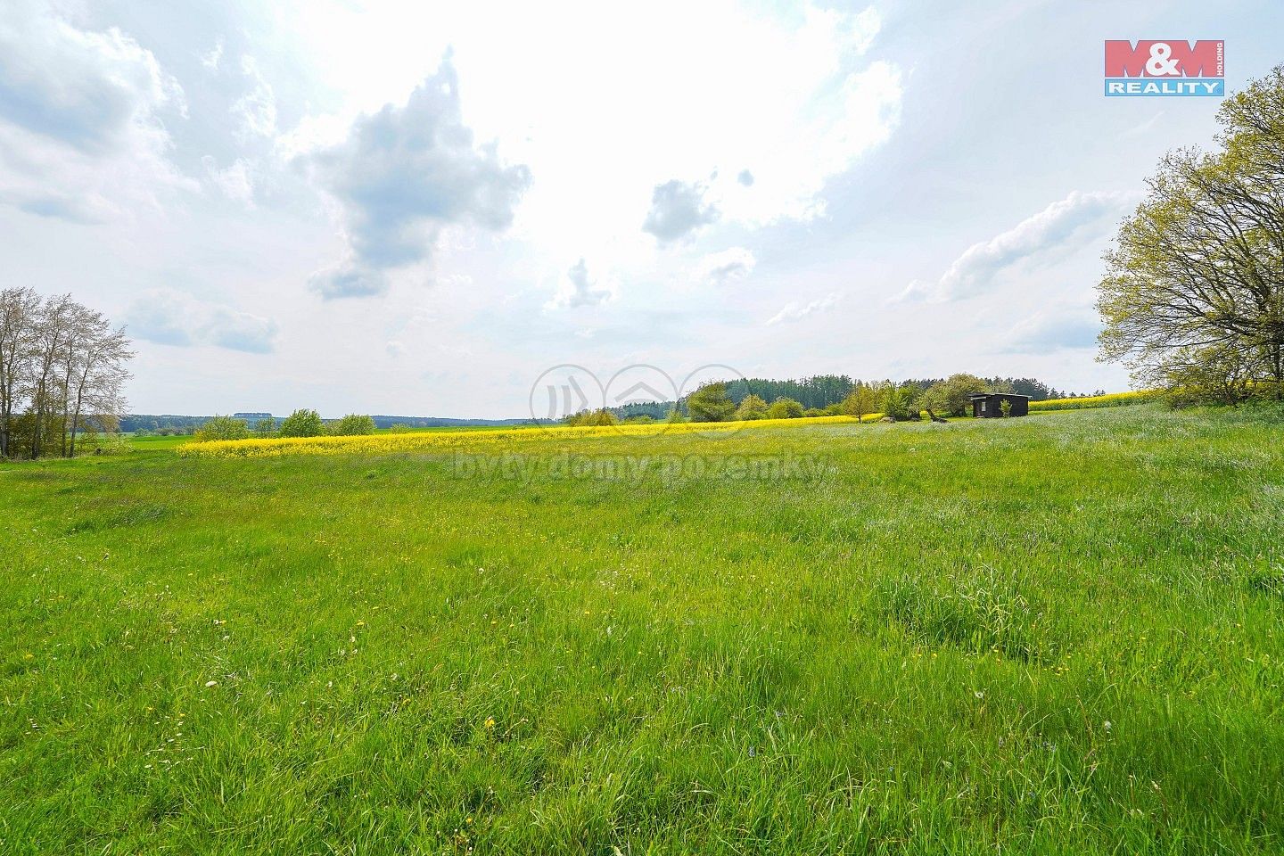 Prodej zemědělský pozemek - Ostrov u Bezdružic - Pláň, okres Plzeň-sever, Plzeňský kraj - 2